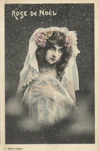 Christmas rose by French Photographer